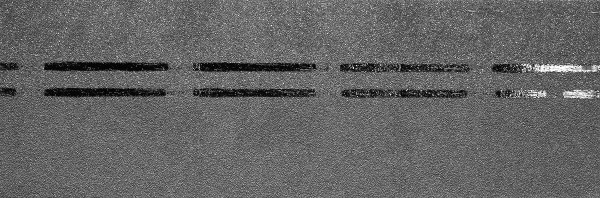 Коньково-карнизная черепица Docke Premium, черника купить в Туймазах